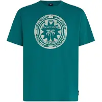 O'Neill Musthave Graphic Lyhythihainen T-paita