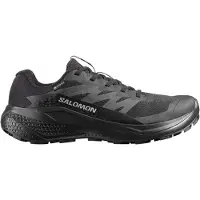 Salomon Alphaglide Gore-tex Polkujuoksukengät