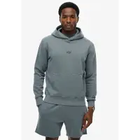 Superdry Micro Logo Huppari