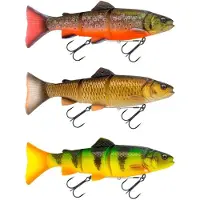 Savage Gear 3D Line Thru Trout 25cm/180g Slow Sink (Color: Arctic Char)