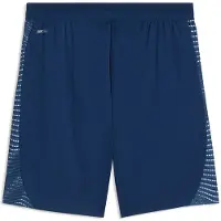 Puma Individualfinal Shortsit