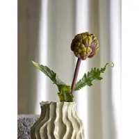 Bloomingville Protea