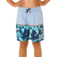 Rip Curl Streamline Stripe Volley Uimashortsit