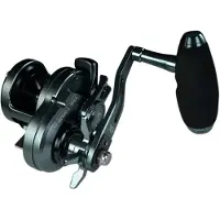 Xzoga Rogue X Rx Sw Jigging-kela