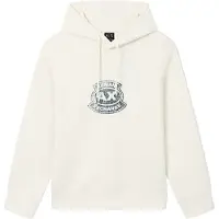 Armani Exchange for man. XM002332AF10818U1074 Regular Fit Hoodie beige (S), Casual, Cotton