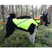 Kardog Kevlar-liivi koiralle,