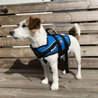 Baltic Koiran pelastusliivi Mascot, sininen