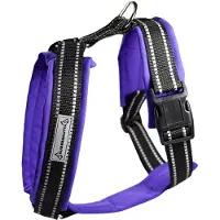 Kusse & Kutta Kusse&Kutta-koiran valjaat softshell-pehmusteella, violetti