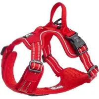 Feel Active Training valjaat, punainen