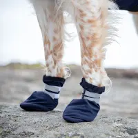 Feel Active Koiran talvitossut Snow, 2 kpl