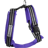 Kusse & Kutta Kusse&Kutta-koiran valjaat softshell-pehmusteella, violetti