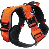 Cerberos Active valjaat, Rescue Orange