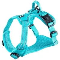 Feel Active Training valjas turkoosi