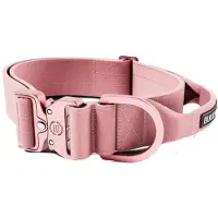 BullyBillows Combat Kahvapanta koiralle, pinkki 5 cm