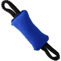 Dingo Bungee Bite Tug