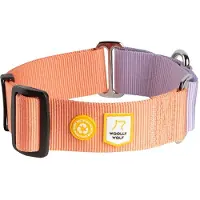 Woolly Wolf Color Block martingaalipanta, Salmon Pink Mix