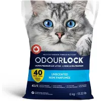Intersand Odourlock Unscented