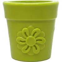 Sodapup Flower Pot
