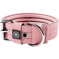 BullyBillows koiran solkipanta 5 cm, pinkki