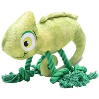 Beeztees Jungle Chameleon Kodi