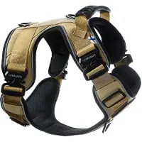 Cerberos Active valjas, Desert Brown