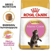 Royal Canin Maine Coon Kitten