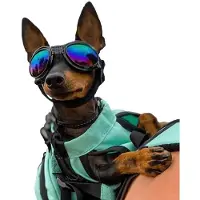 K9 Sport Sack Koiran suojalasit K9 Sport Shades, musta