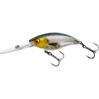Westin BuzzBite DR Crankbait 6,5cm 14g Floating 3D Headlight
