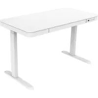 FlexiSpot Elite 60x120 cm sähköpöytä