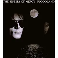 Warner Music - Floodland (LP)