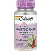 Solaray Mastic Gum 500mg Kapselit 45 Yksiköt