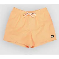 Quiksilver Everyday Deluxe Volley 15 Surffishortsit radiant yellow Koko S