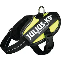 Julius-K9 Idc Baby Koiran Valjaat