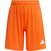 Adidas Entrada 26 Shortsit