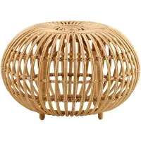 Sika-Design Franco Albini rahi, iso