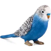 Animal planet Farmland Budgerigar Blue - 387292