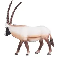Animal planet - Wildlife Oryx