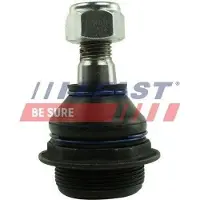 Fast Sports Nutrition LODBALSTS FT17049