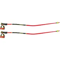 LEKI Wcr Tbs Gs 3d Kävelysauvat