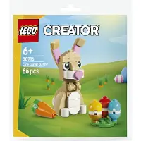 LEGO Creator 30716 Easter Bunny with Movable Ears and Easter Eggs 66 Pieces