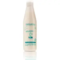 Salerm 21 Silk Protein Leave-in conditioner 250 ml
