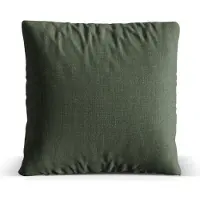 Micadoni koristeellinen tyyny Nuria Moss Green 50x50 cm