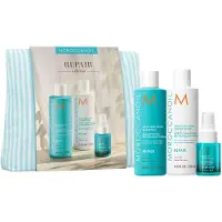 Moroccanoil Repair Spring Setti