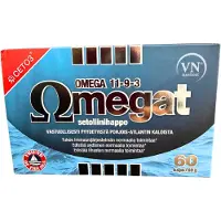 Raw Organic Via Naturale Omegat 11-9-3 setoliinihappo 60kaps.