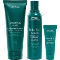 Aveda Botanical Repair Leave In Treatment, 25ml Travel Size