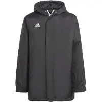Adidas Ent22 Stadium Takki