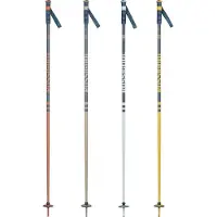 Rossignol Stove Kävelysauvat 20 Parit