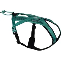 Non-Stop Dogwear Rush Harness Teal Koirien valjaat ja kaulapannat 7