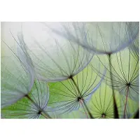 Kärkkäinen Artgeist Fleeting moments itseliimautuva fototapetti