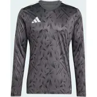 Adidas Team Icon 25 Pitkähihainen T-paita